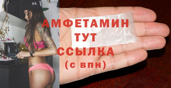 индика Беломорск