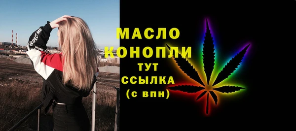 индика Беломорск