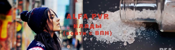 индика Беломорск