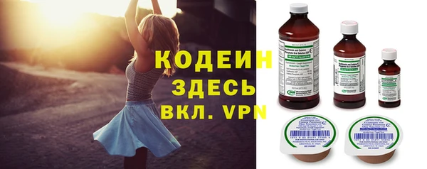 индика Беломорск