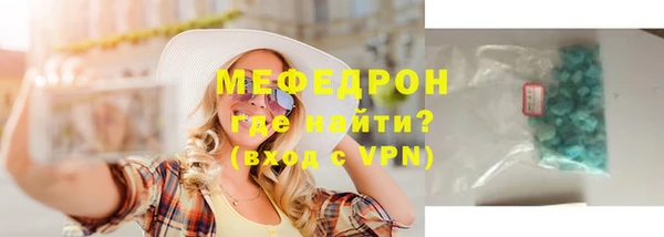 индика Беломорск
