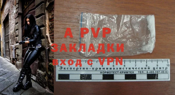 индика Беломорск