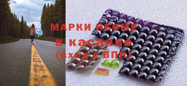индика Беломорск