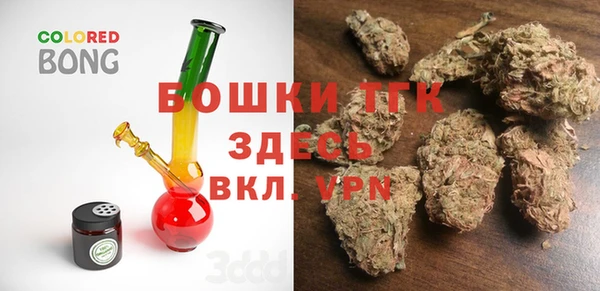 индика Беломорск