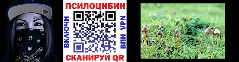 купить закладку  Будённовск  Галлюциногенные грибы ЛСД 
